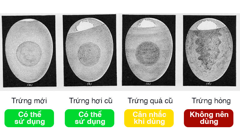 bảo quản trứng trong tủ lạnh 4