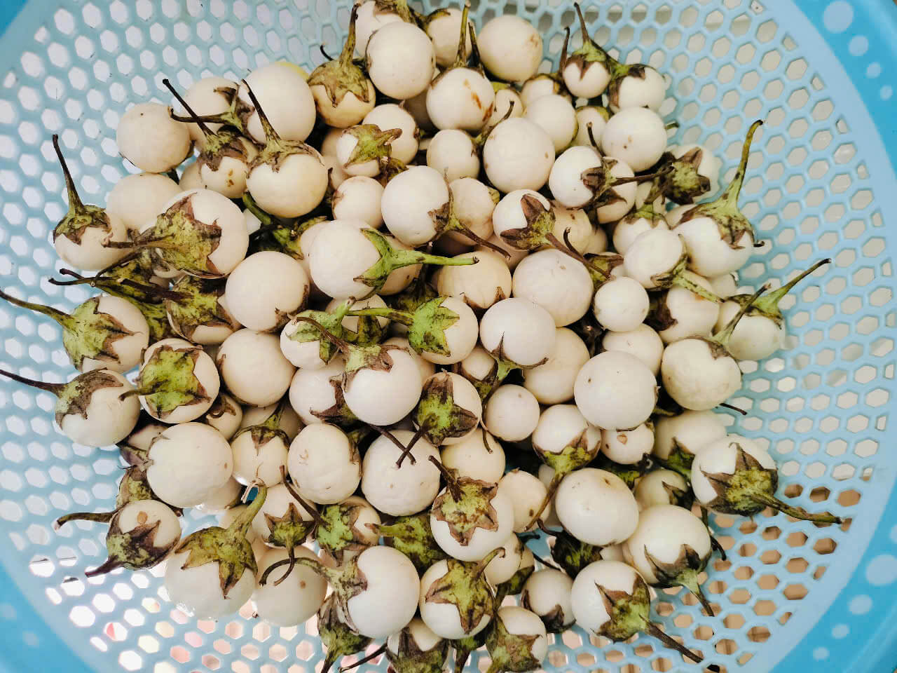 Lần thứ 3+ Chanh muối cà pháo 5